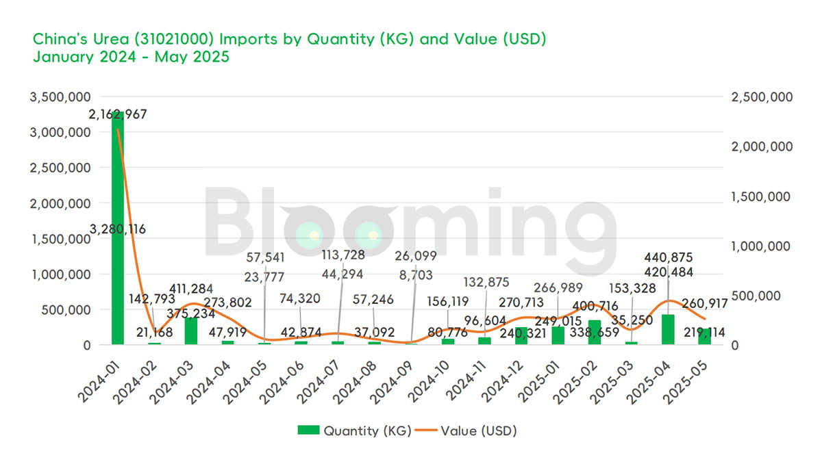 Import Surge: Short-Term Dip, Long-Term Spike