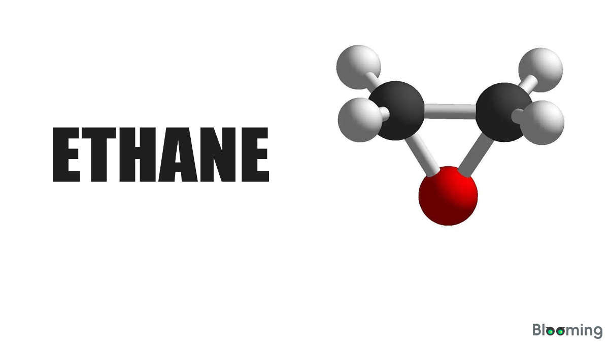 China's Ethylene Trade Brief - April 2025