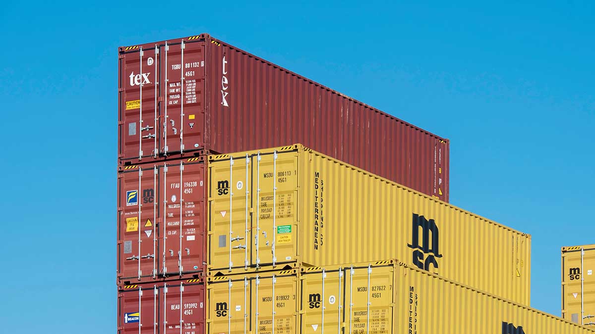 China's TCE and PCE Exports Surge in 2025 Despite December Drop