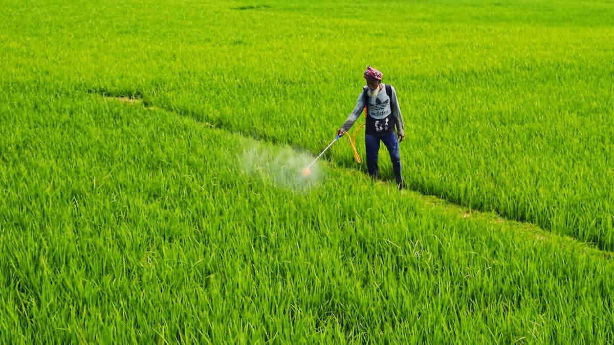 India's Agrochemical Imports Surge 53% in 5 Years; Industry Demands Higher Tariffs