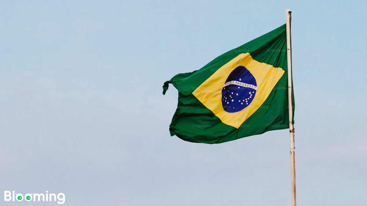 Brazil to Enforce New GHS Classification, SDS, and Labeling Rules for Chemicals Starting July 2025