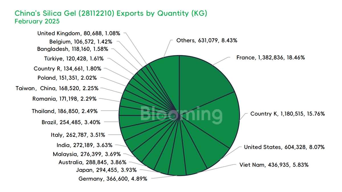 China's Silica Gel Trade in February 2025: Strong Year-on-Year Growth Despite Monthly Declines - 07