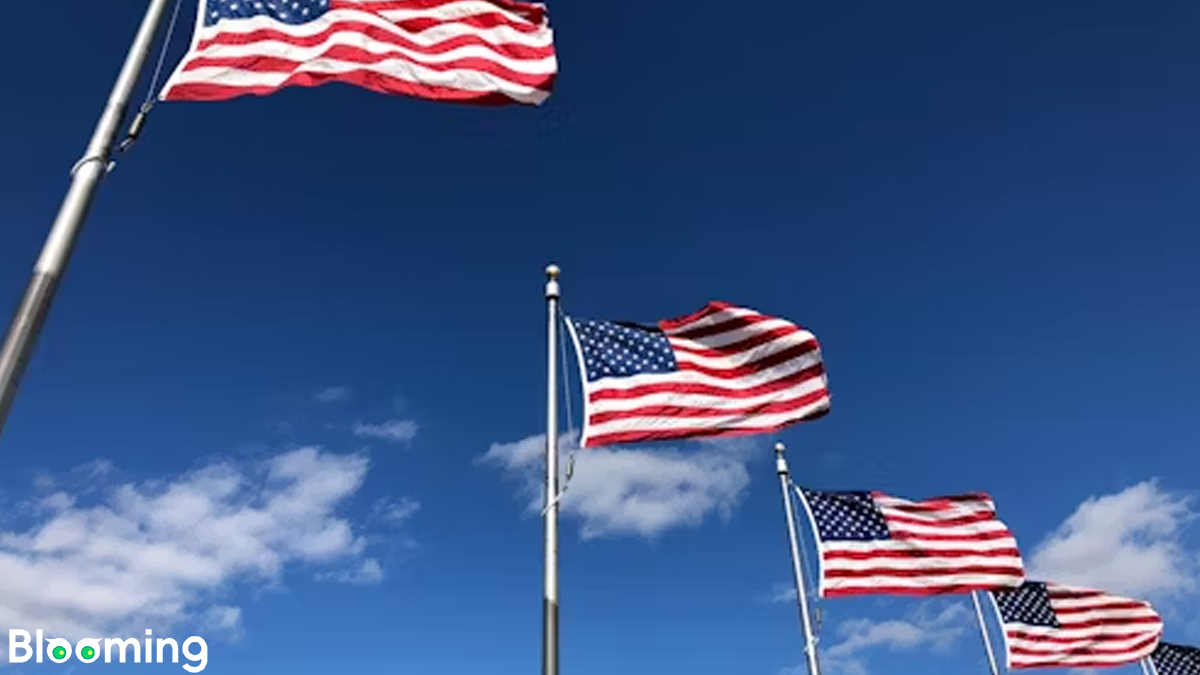 U.S. Services Exports Could Become Retaliatory Target in Trade Disputes