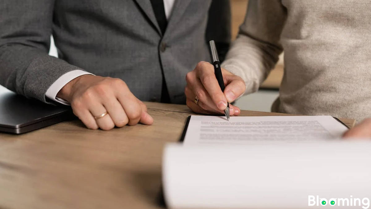 International Economic, Trade and Industrial Cooperation: Multiple Signing of Memorandums of Understanding Usher in a New Chapter of Development