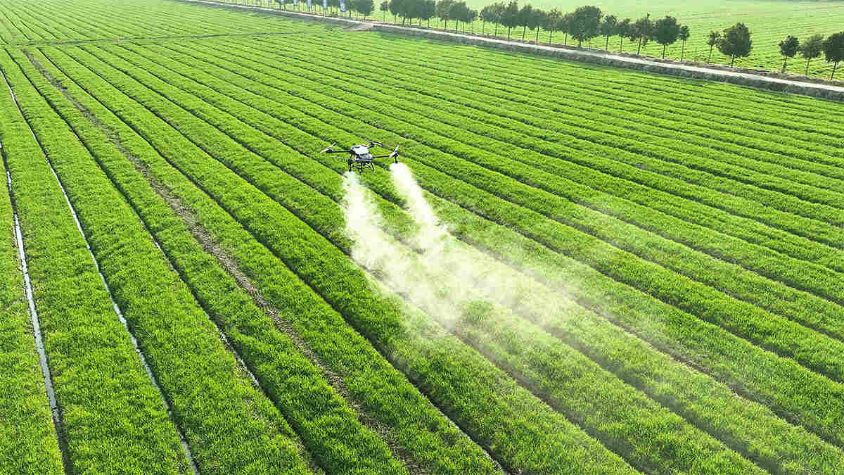 Specialized Trade Platform Empowers Closer China-Brazil Agrochemical Partnerships