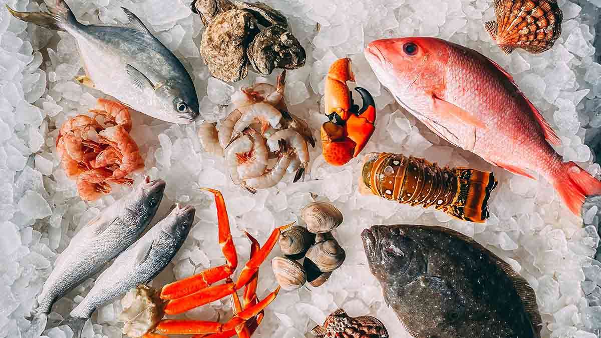 China Seafood Imports Surge in November 2025: Shrimp, Pollock, Salmon, Squid