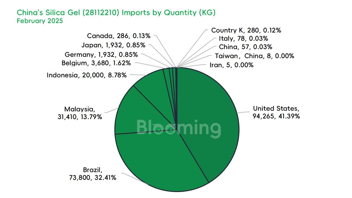 China's Silica Gel Trade in February 2025: Strong Year-on-Year Growth Despite Monthly Declines - 03