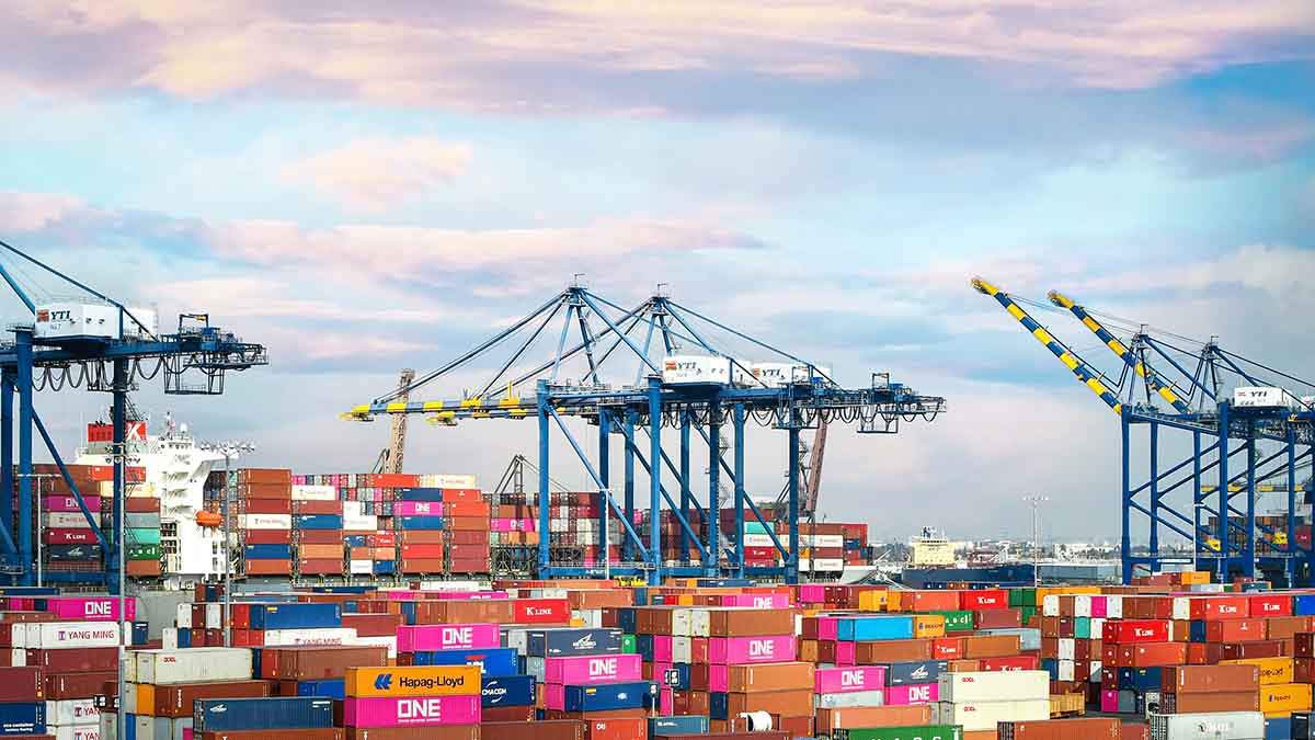 China's EDC Trade in November 2025: Imports Surge Year on Year While Exports Continue to Decline