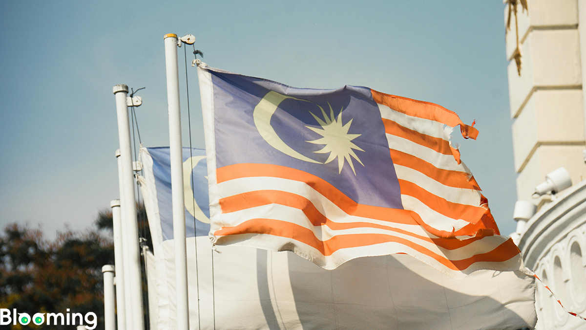 Malaysia Issues Notification on the 2024 Edition of the Electrical Equipment Approval Guidelines (Electricity Regulations 1994)