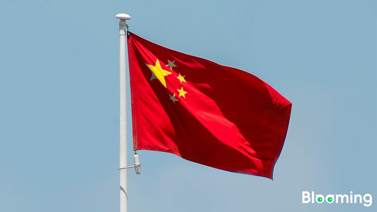 Analysis of China's Foreign Trade Performance (Jan - Oct 2024)
