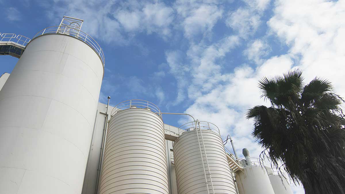 Mitsui Chemicals Adds 100 Thousand Tonnes of MDI Capacity as Global Industry Rivalry Intensifies