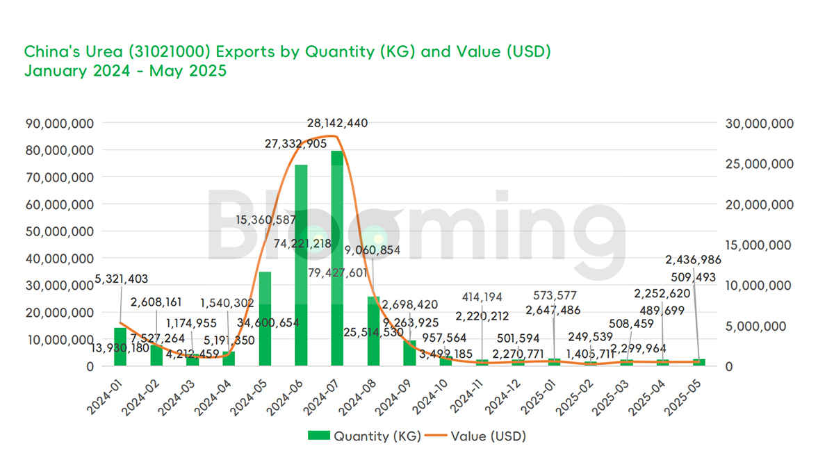Export Crisis: Slight MoM Recovery, But 97% Below 2024 Levels