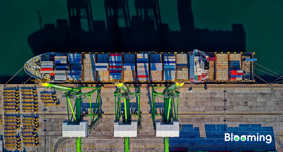 Latest Trade Performance: Exports and Imports in South Korea, Japan, Germany, Turkey, and Chile