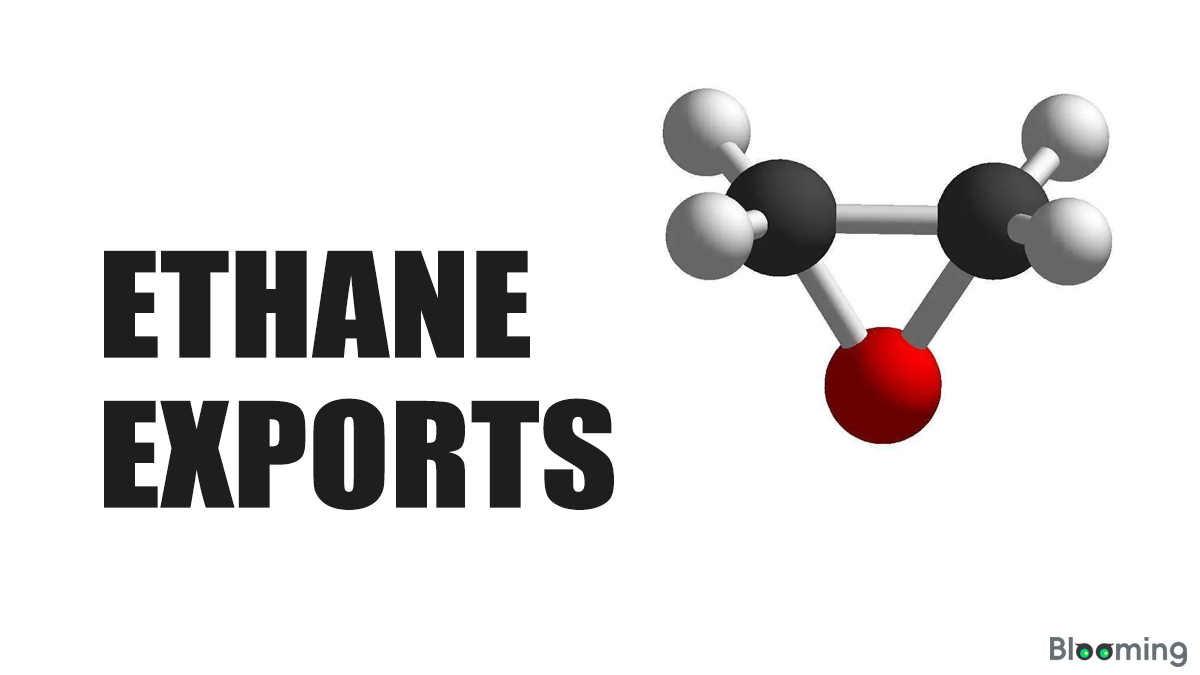 U.S. Ethane Export Restrictions and Their Impact on China's Ethylene Industry