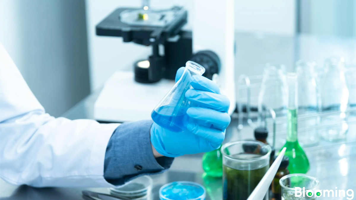 Vietnam Simplifies Import-Export Procedures: Certain Chemical Products Now Eligible for Permit-Free Clearance