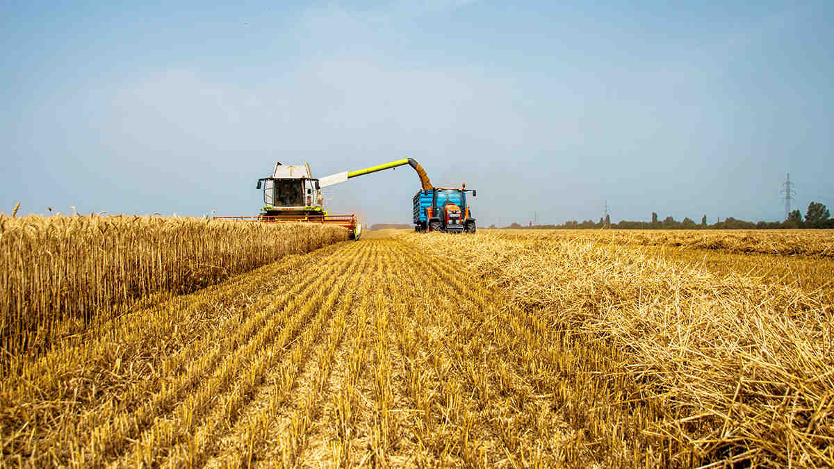 FAO Food Price Index Rises for Third Month on Supply Shocks