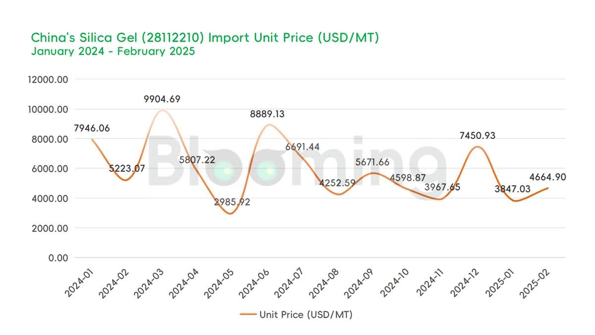 China's Silica Gel Trade in February 2025: Strong Year-on-Year Growth Despite Monthly Declines - 02